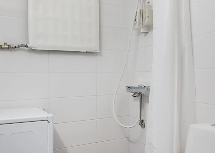 Viihtyisae Yksioe Helsingin Ruskeasuolla *