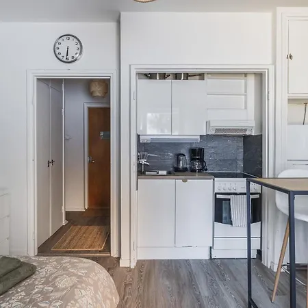 Viihtyisae Yksioe Helsingin Ruskeasuolla * Helsinki