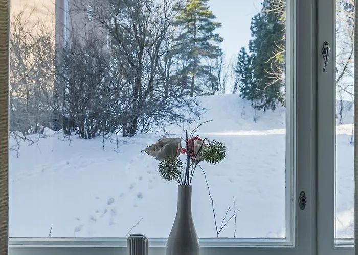 Viihtyisae Yksioe Helsingin Ruskeasuolla