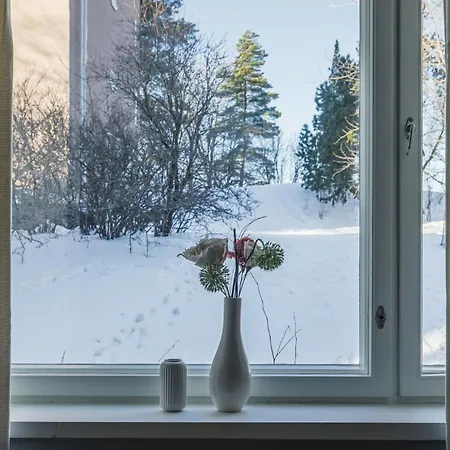 Viihtyisae Yksioe Helsingin Ruskeasuolla